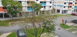 Blk 715 Jurong West Street 71 (Jurong West), HDB 5 Rooms #422203151